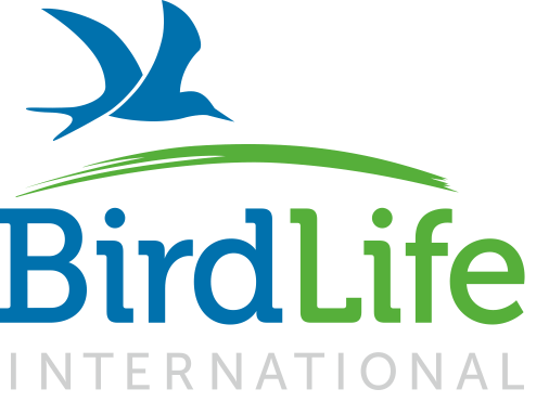 Bird life