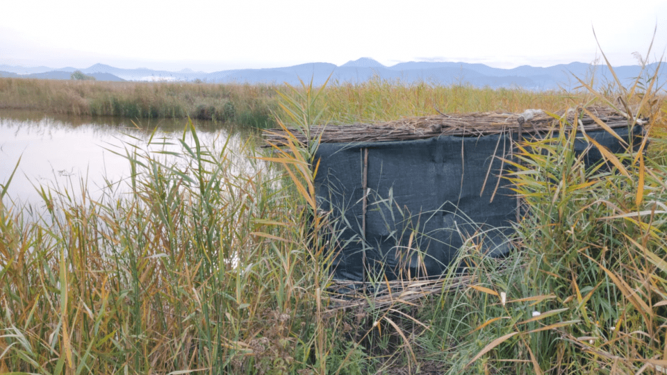 Ilegalna krivolovačke čeka (foto:Biom)