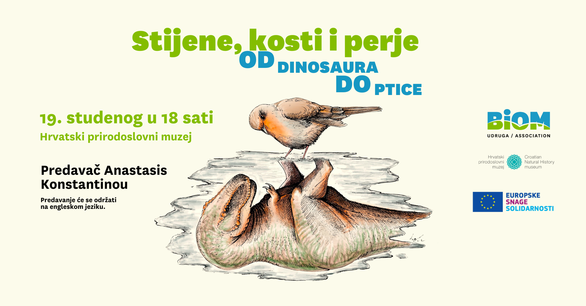 Rocks, bones and feathers – From dinosaur to bird!