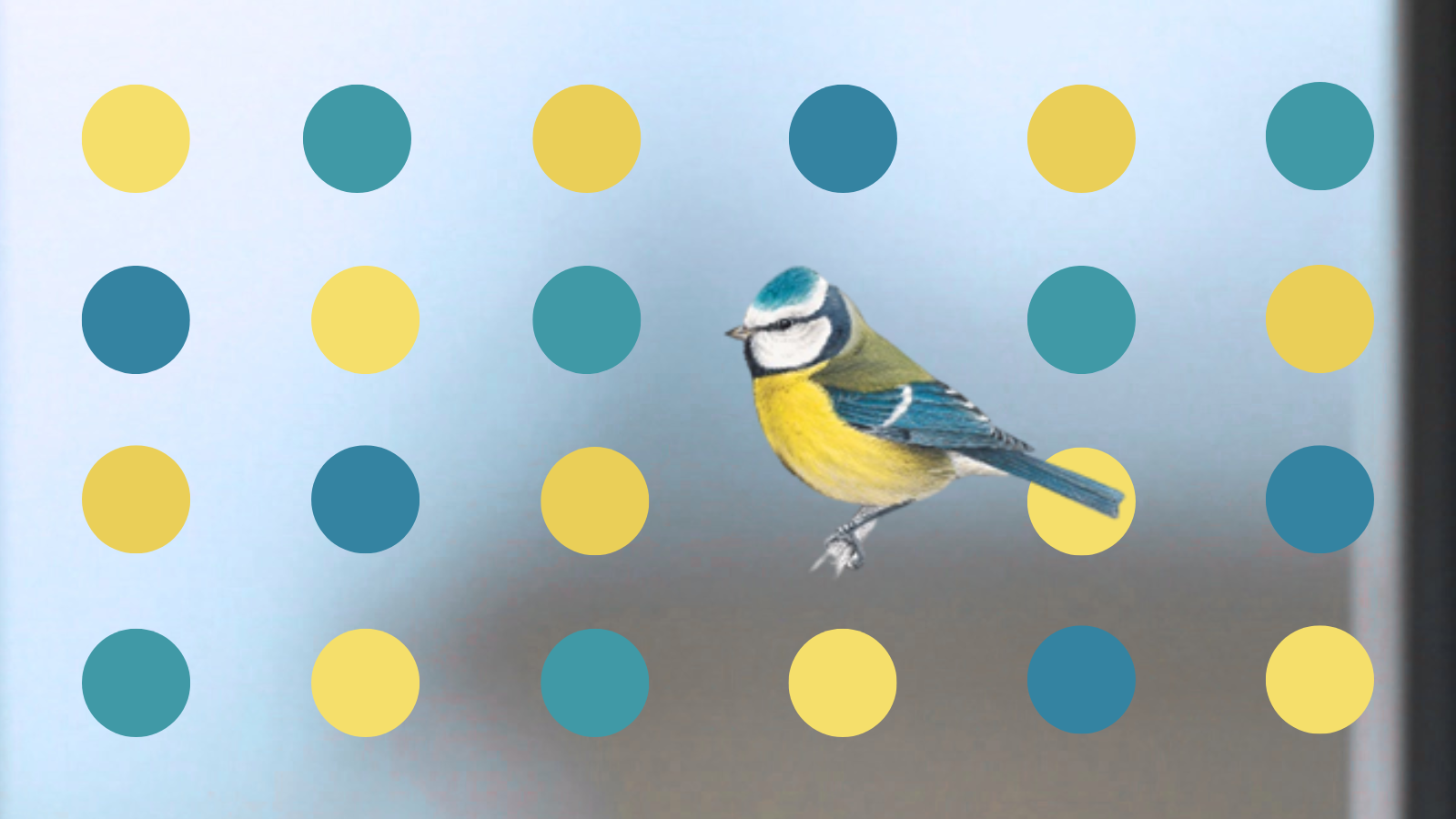 Pridružite nam se u monitoringu kolizije: Prvi sastanak online, 2.4.